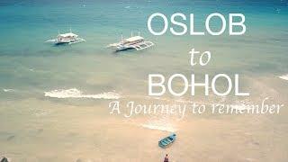 Oslob to Bohol | A Journey To Remember