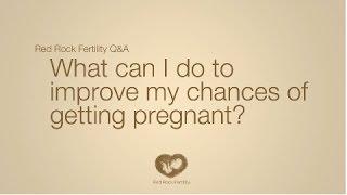 What Can I Do To Increase My Chances of Getting Pregnant?