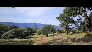 Madeira 2024 - TOP 5 Levada Wanderungen