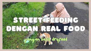 KASIH MAKAN KUCING JALANAN DENGAN MAKANAN YANG BAGUS - STREET FEEDING CAT REAL FOOD