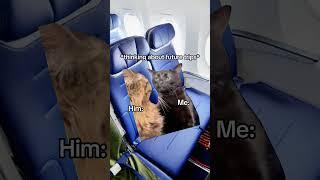 CAT MEMES You bought a plane ticket at 4:30am to save money #catmemes #relatable #relationship