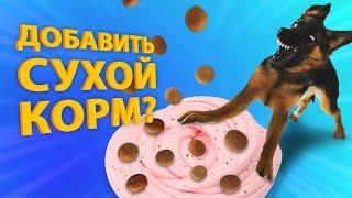 СОБАКА УПРАВЛЯЕТ моим СЛАЙМОМ / Лизун из случайных ингредиентов