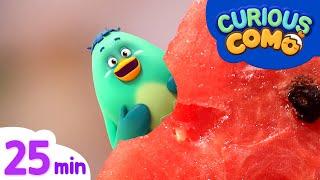 Curious Como | a Watermelon + More Episodes 25min | Cartoon video for kids | Como Kids TV