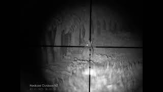 Rabbit Shooting with Night Vision