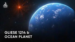 The Mysterious World of Gliese 1214 b. What Do We Know about Ocean Planets?