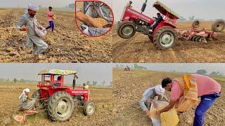 Wheat  Production Very Expensive of 1 acre   FarMer ‍ Life Defficult