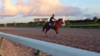 Gunnevera works at GPW 7/15/2017