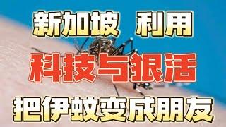 为什么地处热带地区的新加坡，绿化率这么高，但是蚊子确那么少？视频给你答案￼！