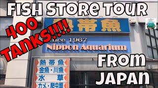 Fish Store Tour from Japan *OVER 400* tanks and an interview with an employee!!!! ADA Store