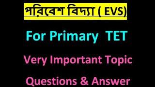 Primary TET EVS  Questions & Answer