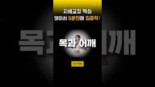 자세교정의 핵심, 매일 의자에 앉아서 5분만 해보세요 집중력이 기적처럼 올라갑니다. 올바른 자세란 골격계만 꽂꽂하게 뻣뻣한 자세가 아닙니다.