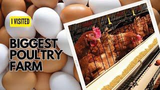 Uncovering the Thrilling Life of a Chicken Farmer // Hamara Farm // Rising Rajesh