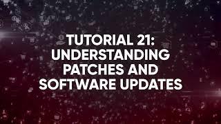 Understanding patches and software updates