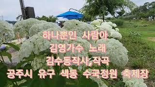 #하나뿐인 사람아#김영가수 노래#김수동작사,작곡#공주 유구 색동 수국 정원 축제장에서# 구독좋아요전체알람설정은사랑입니다감사합니다‍️응원합니다