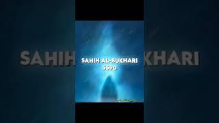 Read Shahi Al Bukhari #allah #viral #shorts