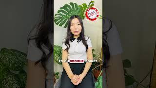 Кассовый аппарат ПОРТ