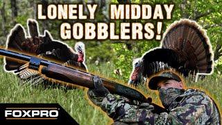 Midday Gobblers - Kentucky Turkey Hunting