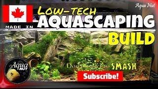 Step by Step Aquascaping Tutorial Guide PT 2| Planted Aquascape Build How to