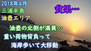 【三浦半島】油壺の磯。満員で北側から南側へ大移動の結果【2018年3月】