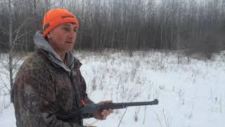 Trapping Wolves! MONSTER ALPHA WOLF!