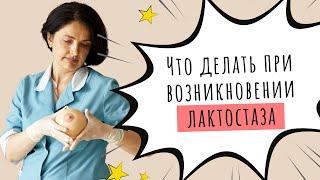 ЛАКТОСТАЗ: что делать, что НЕЛЬЗЯ делать, КАК правильно СЦЕЖИВАТЬ молоко | МАССАЖ груди при застое