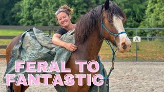 Skittles the Pony goes through Tarp Training!  Wait until the end!!!