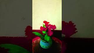 Creative videography Idea||plant growing video effect||#shorts#ytshorts#neweditingidea#viral