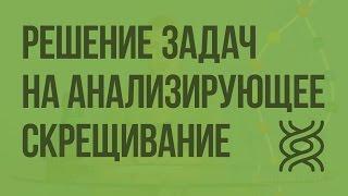 Решение генетических задач на анализирующее скрещивание. Видеоурок по биологии 10 класс