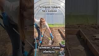 Готовим грядку без химии, для огурцов и арбузов! #грядки #огурцы #арбузы