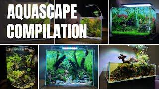 MY TOP 10 BEST AQUARIUM SETUPS OF ALL TIME!