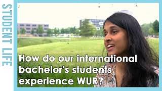 How do our international bachelor's students experience WUR? | WURtube