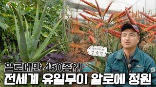 [SUB] 알로에의 세계 The Only Aloe Garden in the World | 정원의 발견 Wonders of Garden | KBS제주20240315방송