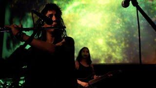 World Jam – Fabba | live from the mother's womb