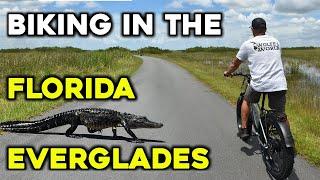 Everglades Biking Featuring the TST Defender Ebike