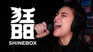 CrazyEightyEight – Shinebox (Live one-take performance by Lauren Babic)