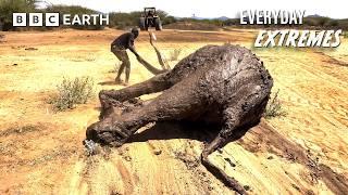 Rescuing Elephants in Northern Kenya | Everyday Extremes | BBC Earth Explore