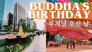 How to celebrate BUDDHA'S BIRTHDAY in KOREA  부처님 오신 날 2021