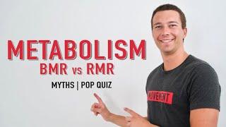 Metabolic Rate Explained | BMR vs. RMR
