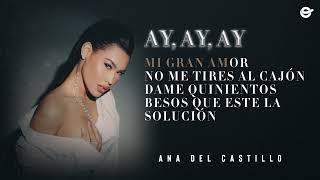 Ana Del Castillo - Ay Ay Ay (Lyric Video)