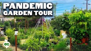 He Built This Garden from SCRATCH in a Year for ~$1000  | Touring My Assistant's Garden