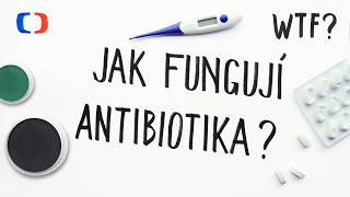 Jak fungují antibiotika? | What the Fact?