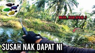 CASTING HARUAN | TAK SANGKA ADA IKAN MAHAL DEKAT SPOT NI | OPASS BULL POWER 1000SW | VLOG508