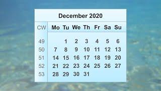 December 2020 Calendar