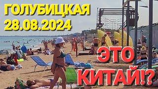 28 августа 2024 г. Это шокирует! #Голубицкая. Пуста, пляжи забиты как в Китае!Аль Маре,Золотая рыбка