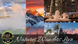  Wild Horizons Live: Nature's Wonders - A Global Exploration