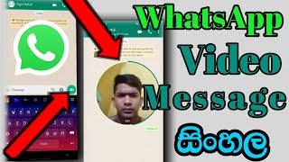 Whatsapp New Update Video Message Sinhal | How to Send Video Messages|Whatsapp Chat Video2023/august