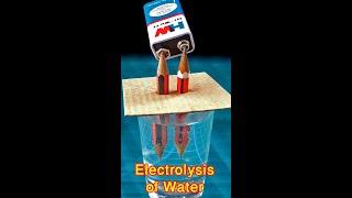 Electrolysis Of Water | How To Produce Hydrogen From Water | Water Electrolysis #shorts