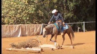 Australian Extreme Cowgirls Virtual Show Round 1 - Int. Over 18 - Ashir Kol & Rooster Like a Diamond