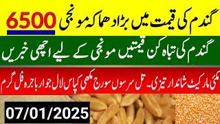 Today Wheat price in punjab//گندم کا ریٹ 2024/munji makki till sarso/Galla mandi rate today