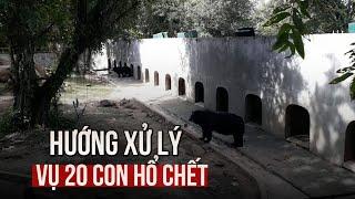 Hướng xử lý vụ 20 con hổ chết ở Khu du lịch Vườn Xoài